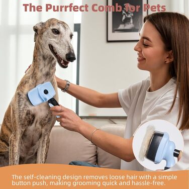 Набір для догляду за шерстю тварин: щітка для самостійного очищення, гребінець для видалення ковтунів та щітка для миття, синій, 3 шт. (для котів та собак)