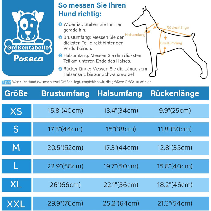 Водонепроникний зимовий костюм для собак XL, світло-блакитний: теплий, з нашийником, світловідбиваючий, на блискавці