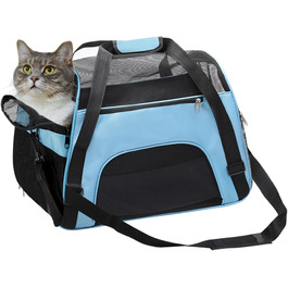 колір: блакитний