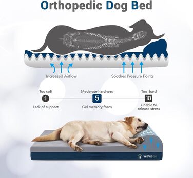 Велике ортопедичне ліжко для собак з гелевою піною пам'яті, міцний фланелевий матеріал, знімний чохол та водонепроникним вкладишем (117 x 74 x 20 см, блакитна подушка)