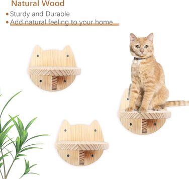 Сходи для котів DaizySight на стіну: комплекс для лазіння, ігор та відпочинку (3 сходинки)