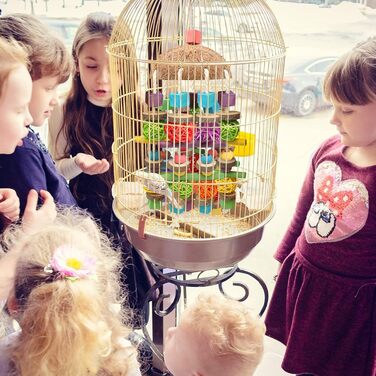Іграшка для папуг Vogel Papagei: дерев'яні блоки для гри, зелена, для хвилястих, сірих, ара, какаду та амазонів