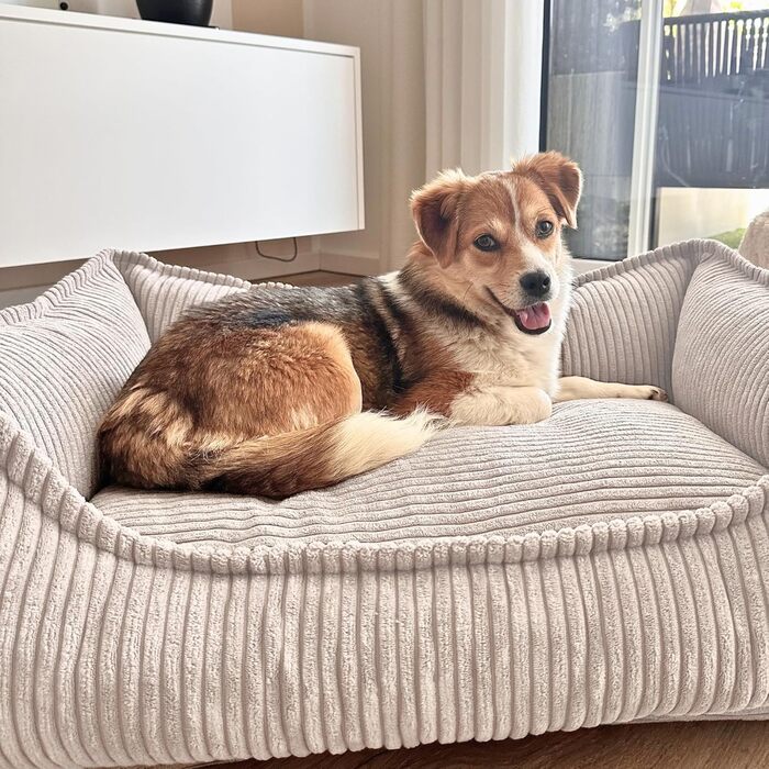 4L Textil М'яке собаче ліжко з корду Hugo Premium-LINE, ортопедичне для маленьких собак, з memory foam, бежеве, 60x40 см