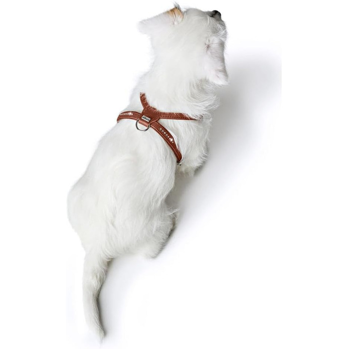 Нашийник для собак HUNTER Round & Soft Canadian UP, колір: Cognac, м'яка, еластична шкіра, оброблений край, не травмує шерсть, екологічний, Made in Germany, розмір: S/1 S/1 Cognac