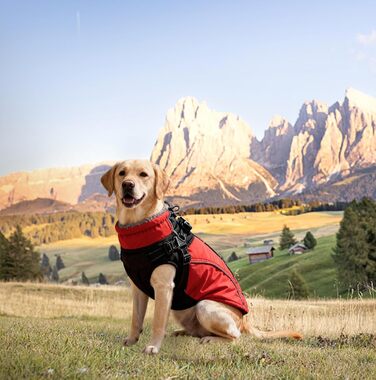 Водонепроникний зимовий одяг для собак великих порід, з кріпленням для повідка, флісова підкладка, світловідбиваючі елементи (XXL), червоний