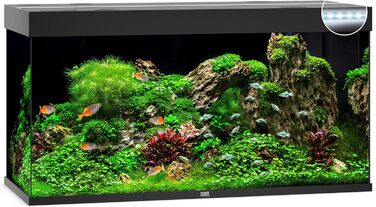 Акваріум Juwel Rio 350 LED, світле дерево, 350 л