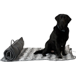 колір: тінь