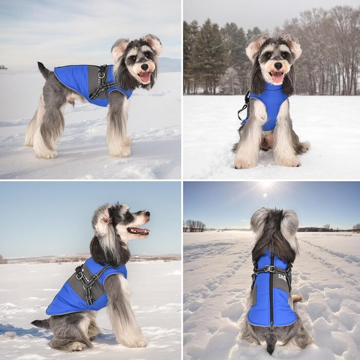 Теплий зимовий одяг для собак, куртка та жилет для маленьких та середніх порід, з світловідбиваючим жилетом, блакитний (S, блакитний)