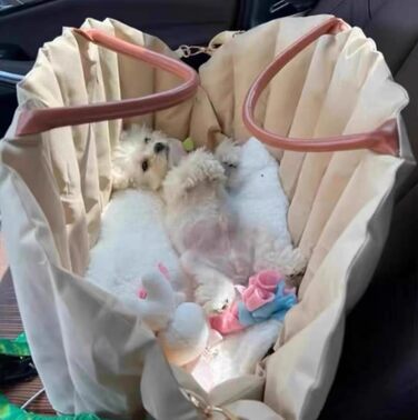 Автомобільний лежак для собак у багажник, 55x42x42 см, світло-хакі