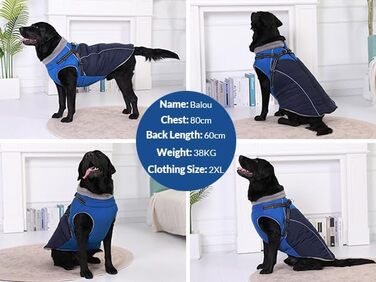 Зимовий теплий одяг для собак Konvinit: куртка з підкладкою з флісу, світловідбиваючі елементи, для собак середніх розмірів, розмір M, зелений/синій (M: обхват грудей 53 см)