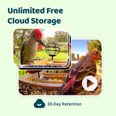 Розумний годівничка для птахів з камерою NETVUE Birdfy, Wi-Fi, сонячна батарея, бамбук, автоматична відеозйомка, розпізнавання птахів, сповіщення