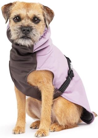 Зимовий одяг для собак Goldpaw: тепла куртка для холодної погоди, регульована, стильна, розмір 22 (золотий)