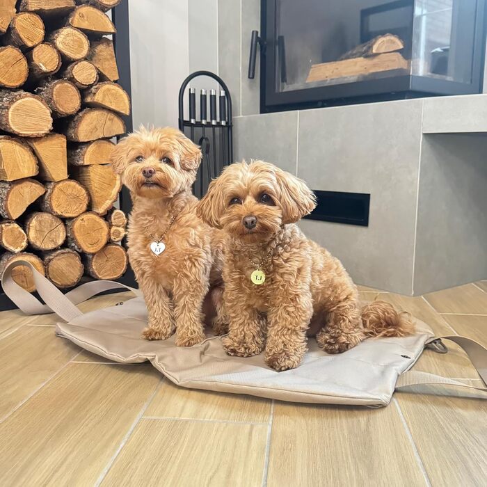 Сумка Tasche 2-в-1 з підстилкою для собак – складана, легка, водовідштовхувальна. В комплекті: косметичка, сумка для снеків, поводок, карабін