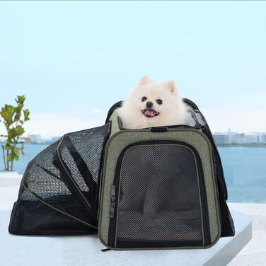 Складана переноска для котів і собак Petsfit, розширювана авіа-сумка з оксфордської тканини, з плечовим ременем, зелена, середній розмір, для подорожей