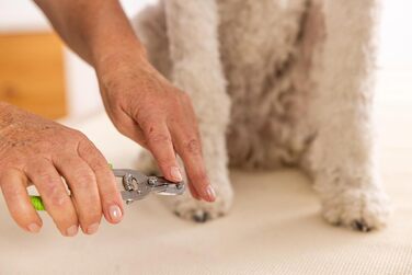 Кусачки для нігтів котів та собак Wahl, професійні, зелені