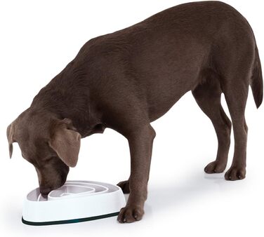 Миска для собак Slow Feeder, Anti-Schling, 700 мл, бежева - для собак середніх та великих порід