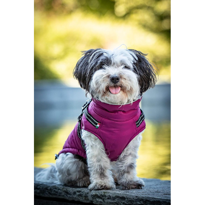 Зимова куртка CHIARA MAX, розмір M, туркіс (фіолетовий), з флісовою підкладкою, регульована довжина, для собак