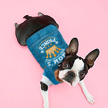 Джинсова куртка для собак з флісовою підкладкою на зиму, для цуценят, стильна, тепла, джинсовий верх, для чихуахуа та йоркширських тер'єрів, блакитна, розмір M