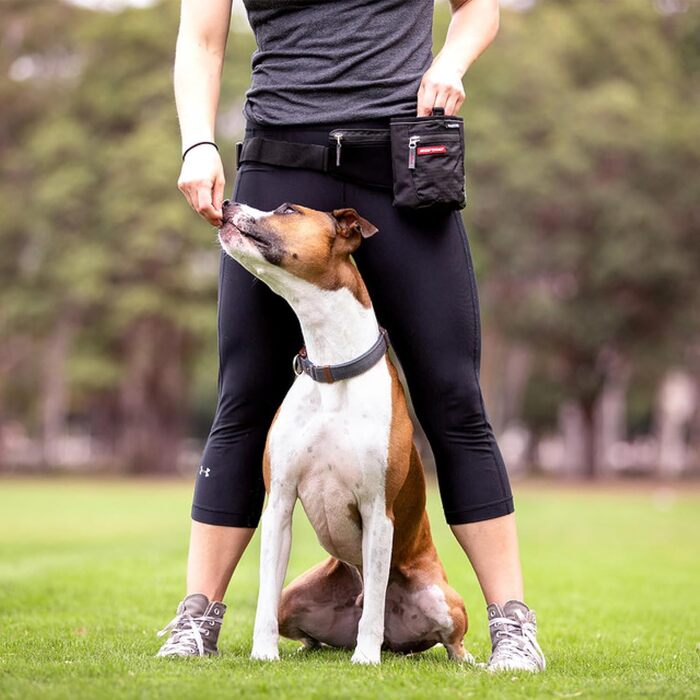 EzyDog SnakPak - сумка для ласощів, червона