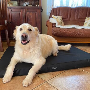 Килимок для собак Tina Grosse - лежанка для собак середнього та малого розміру. Зносостійкий килимок-лежанка з тканини Kodura, водонепроникний, м'який, довговічний. (XXL, 120x90x8 см, Чорний)