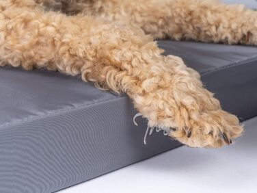 TrendPet VitaMedog Водонепроникний ортопедичний матрац для собак 50x35 см