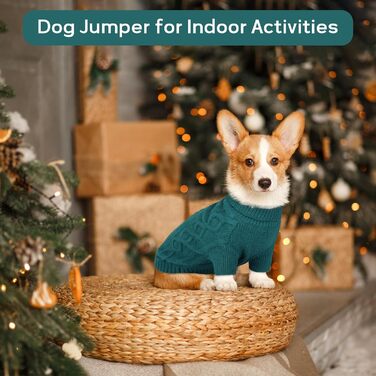 Пуловер для котів та собак Hjumarayan, теплий зимовий пуловер з отвором для повідка, стильний пуловер для кошенят та маленьких собак (Півнячий зелений, S)