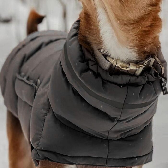 Водонепроникна зимова куртка для собак, тепла куртка від снігу, одяг для тварин, теплий одяг для великих собак, сірий колір