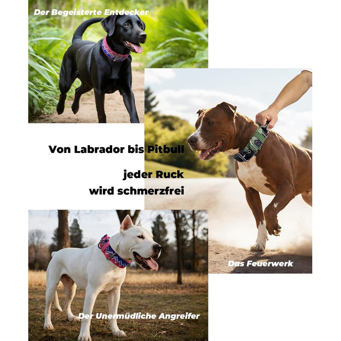 Нашийник для собак Premium NeckShield Kontroll – 5 см, з посиленим амортизуючим наповнювачем, сертифікована безпека SGS, професійний захист для великих і дуже великих собак, 50-58 см, колір Джунглі Ніч