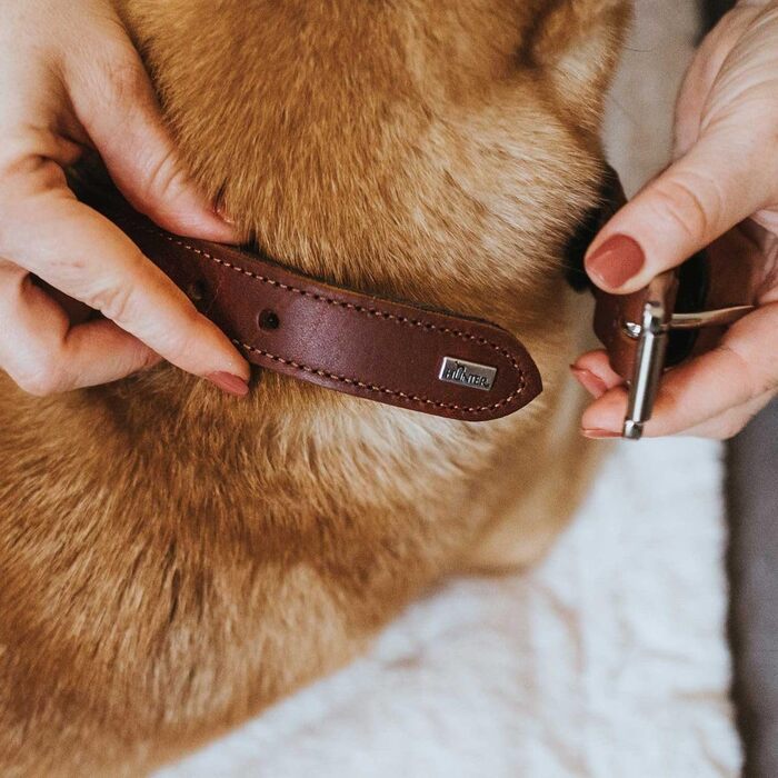 Нашийник для собак HUNTER EL PASO, шкіряний, плетіння, розмір S-M, колір cognac/чорний