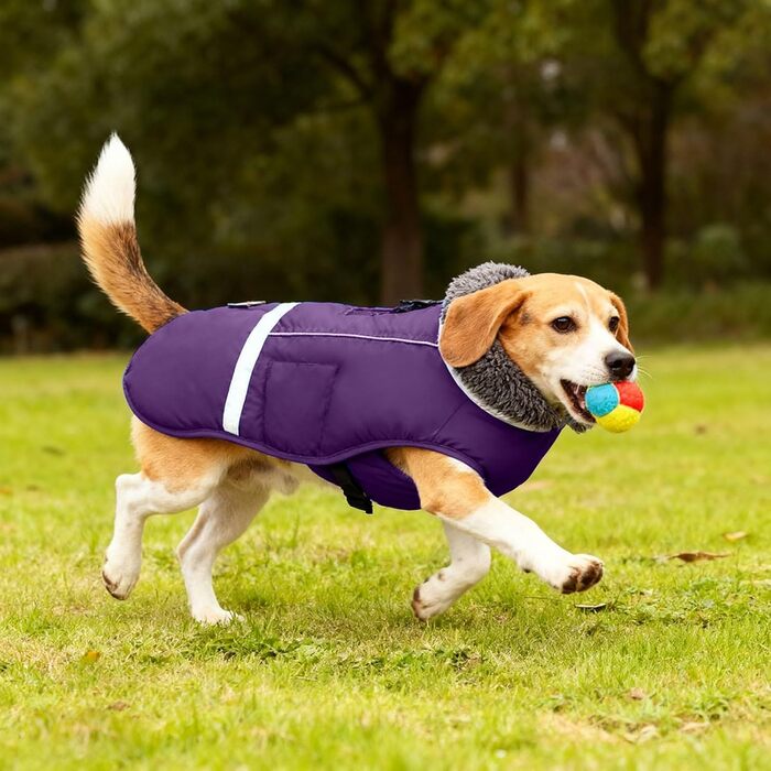Зимова куртка для собак з відбиваючими елементами, тепла флісова, для активного відпочинку (L, Purple)