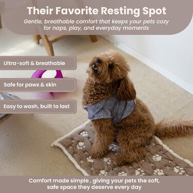 Килимок для собак та котів PetMat з органічної бавовни, 40,6 x 61 см, двосторонній, м'який, стильний, для лежанок, 16X24, Mokka-Baiser та Beige