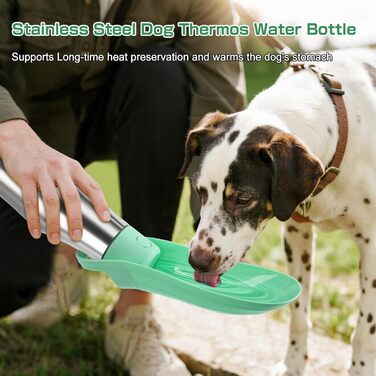 Водяна пляшка для собак на прогулянці - не протікає, з нержавіючої сталі, 750 мл
