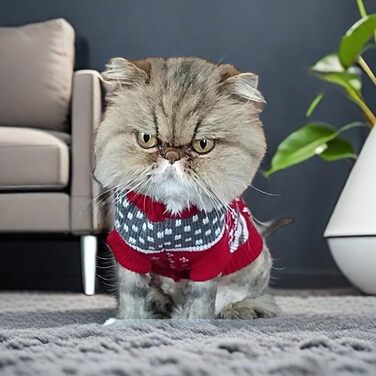 Теплий в'язаний пуловер для собак та котів, стильний каре, рожевий олень, XXL