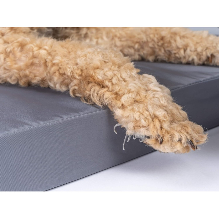 TrendPet VitaMedog Водонепроникний ортопедичний матрац для собак 50x35 см