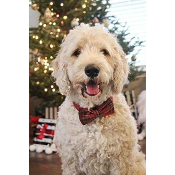 Нашийник для собак Unique Style з бантиком, регульований, для собак та котів, червоний, XXS-XL