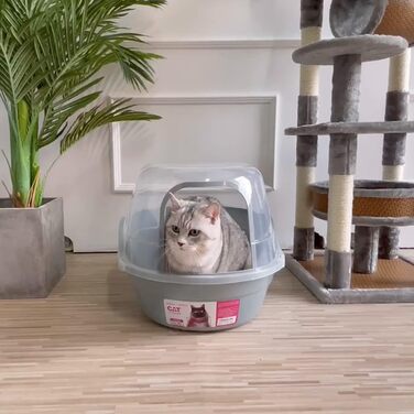 Великий туалет для котів із кришкою Petphabet XXL, сіра закрита котяча туалетна коробка для великих порід і кількох котів, 63x48x43 см