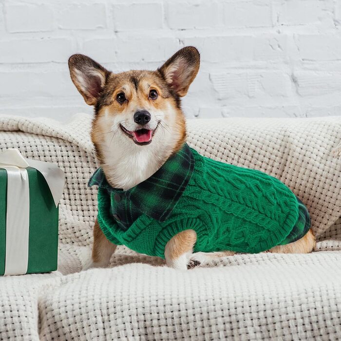 Теплий собачий светр CITE TOILE з візерунком у клітинку, комір-гетр та отворами для повідка – зимовий одяг для собак маленьких, середніх та великих порід, светр для котів на Різдво (L, Зелений)