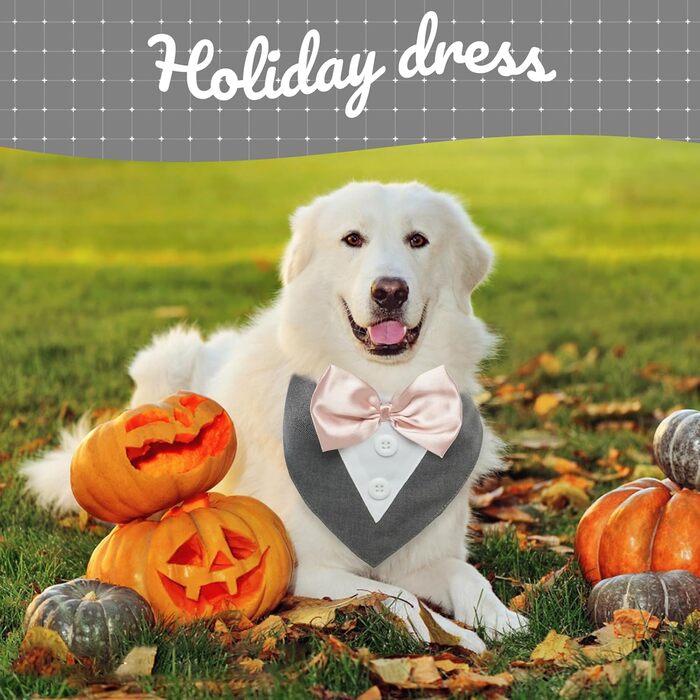 Нашийник для собак Kuoser: святковий бандана, краватка для великих собак, сірий, розмір L