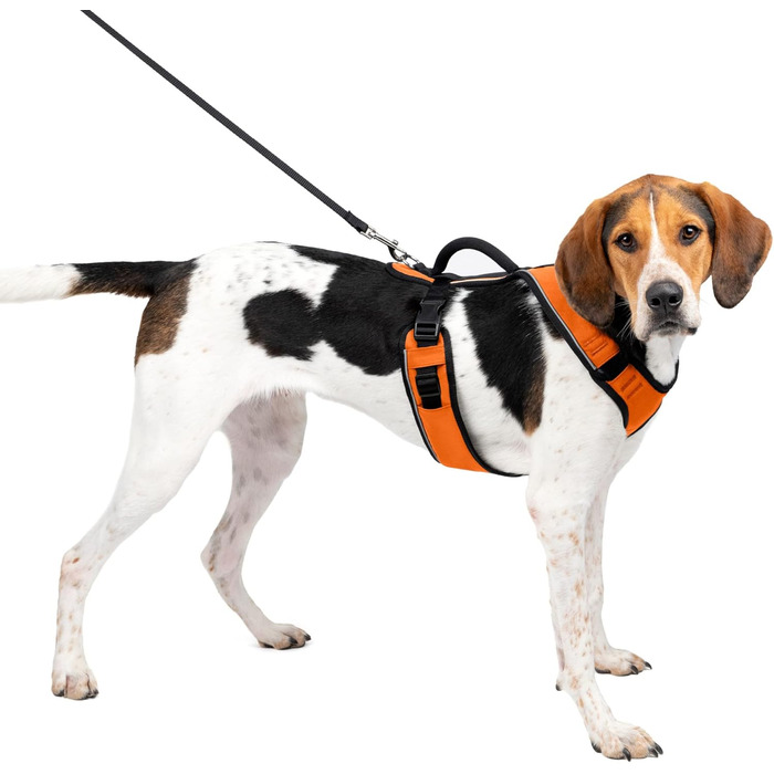 Шлея для собак PetSafe EasySport, регульована, з м'якою підкладкою, контрольна ручка, світловідбивна, помаранчева, розмір L