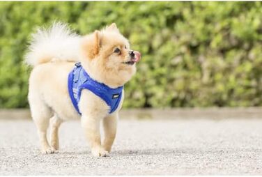 М'який нашийник для собак CHIARA MIA, розмір XL, чорний. Водовідштовхуючий, з регулюванням на липучці, світловідбиваючі смуги.