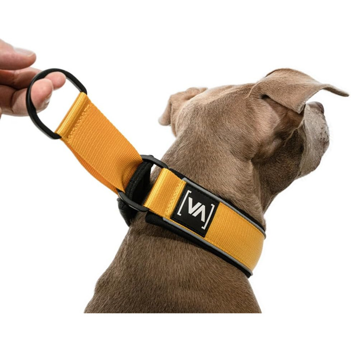 VITOMALIA® Легке відбиваюче нашийник для собак з гальмом, 4 см, міцний нейлон та м'який неопрен, для середніх собак