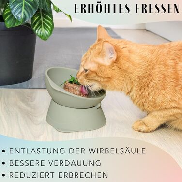 Підвищений миска для кота з регульованим нахилом ne&no® | Миска для кота, піднята | Миска для кота, зелений колір