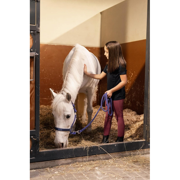 Дитячі штани для верхової їзди HORZE Kinder Reitleggings DEA, повний облягання, кишеня для телефону, рожевий (134-140)