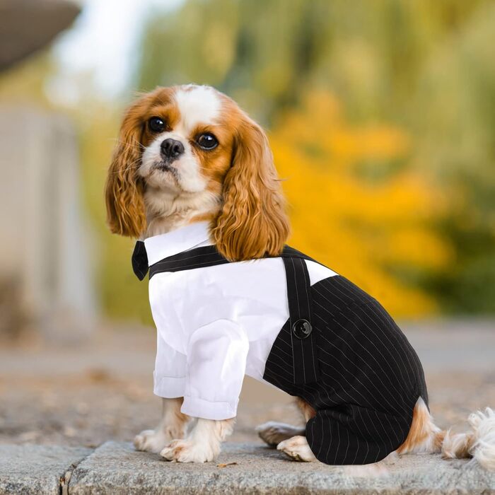 Смугастий костюм для собак ASENKU: смокінг з метеликом, формальний набір для свят, дня народження, чорний, XL-XXL