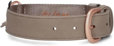 Нашийник для собак ZWEI Leo LE15 з якісної штучної шкіри, регульований, для середніх та великих собак, обхват шиї 37-50 см, колір капучино