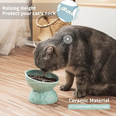 Набір мисок для котів OMAYKEY з кераміки, підняті, нахилені, для корму та води, порцеляна, без стресу, для котів та маленьких собак, придатні для миття в посудомийній машині та мікрохвильовій печі, зелені, 2 шт.