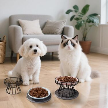 Набір мисок для котів (2 шт.) з підставкою, керамічні миски для корму та води, силіконовий килимок, блакитний + рожевий