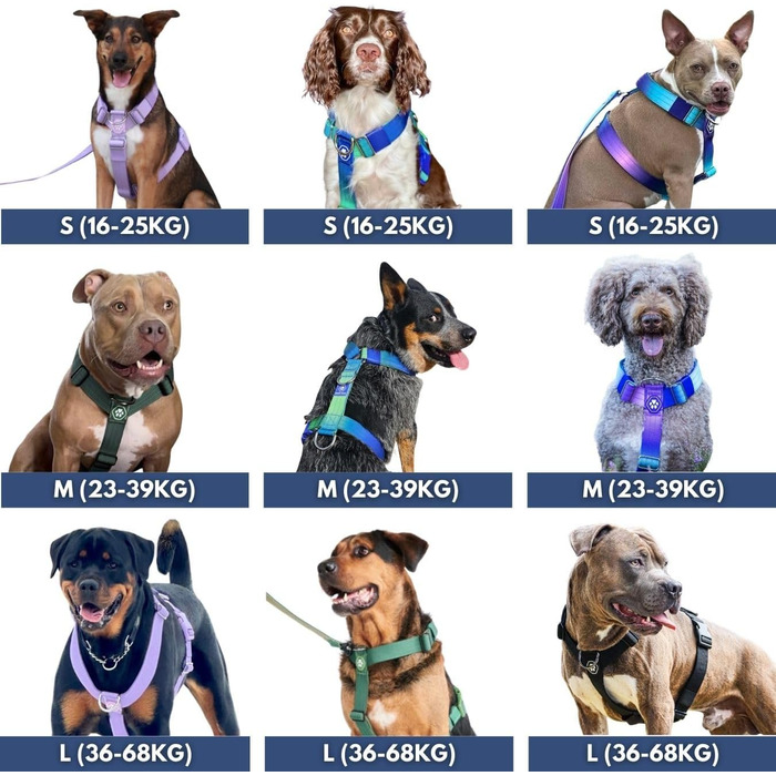 Нашийник для собак Spark Paws No-Pull – фіолетовий, L (36-68 кг) – для великих порід, Pitbull, Боксер