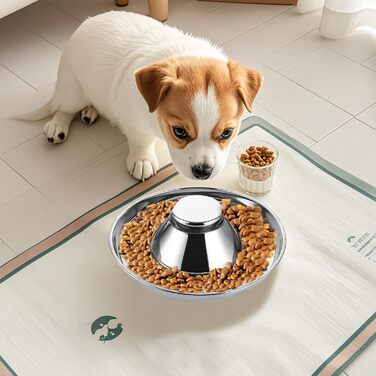 Набір з 3 мисок для собак та котів з нержавіючої сталі, 30 см, для маленьких собак та котів