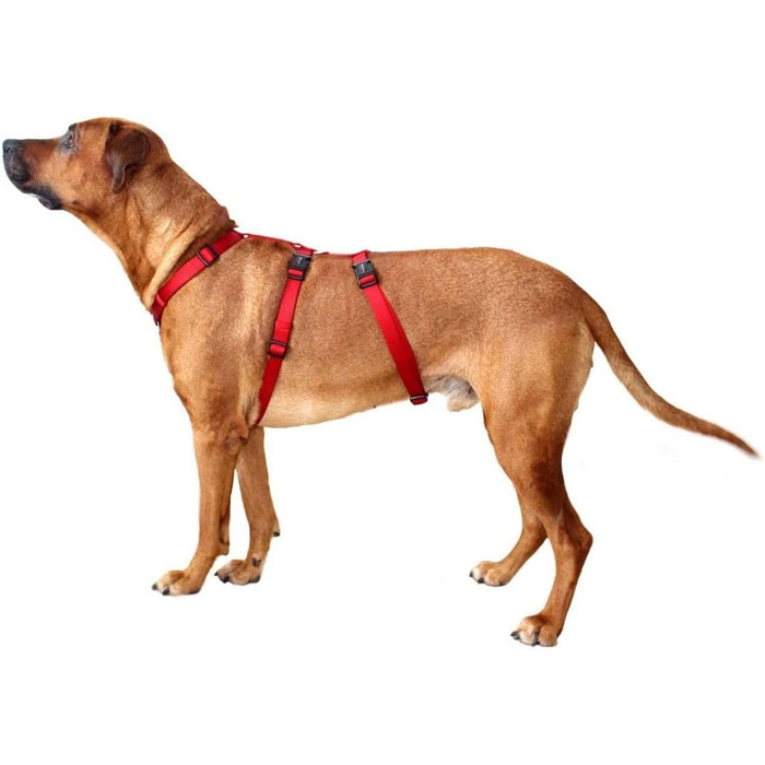 Професійний посуд Wolters Geschirr Professional No Escape, 30-40 см, червоний